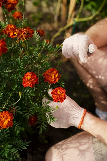 Gratis foto hoge hoekhand die mooie bloem houdt