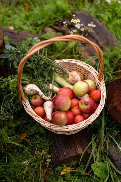 Gratis foto hoge hoekmand met appels en groenten