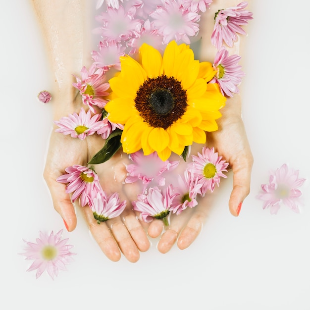 Hoge hoekmening van gele en roze bloemen in duidelijke stroomversnelling