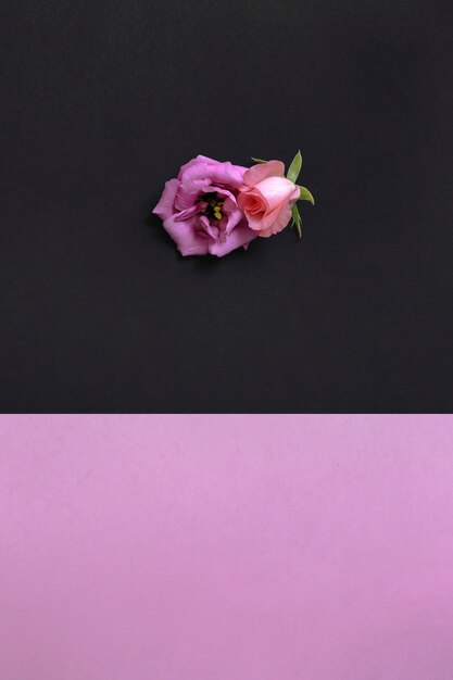 Hoge hoekmening van mooie bloemen op roze en zwarte achtergrond