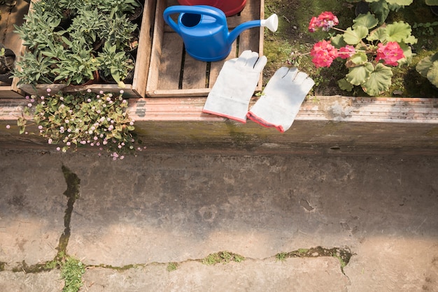 Gratis foto hoge hoekmening van tuinhandschoenen; gieter dichtbij verse bloeminstallaties in serre