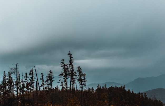 Hoge rotsachtige bergen en heuvels bedekt met natuurlijke mist in de winter