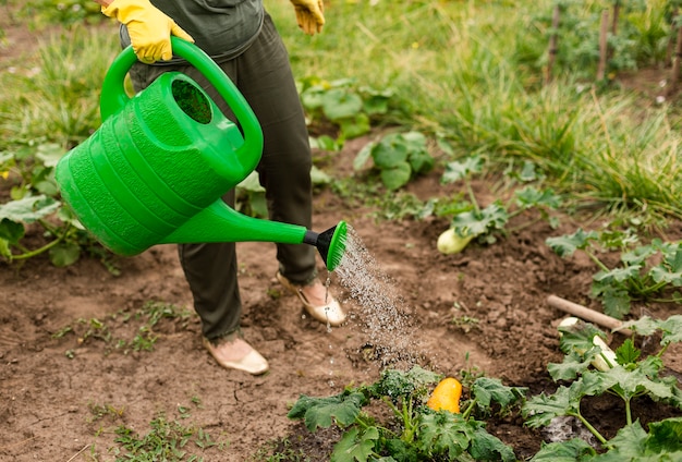 Hogere vrouw die de gewassen water geeft