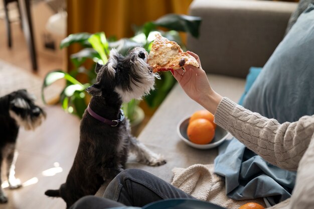 Hond die pizza eet