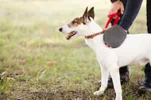 Gratis foto hond gehouden door eigenaar in park