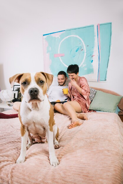 Hond met eigenaars tijdens de ochtend