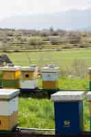 Gratis foto honing boerderij landschap