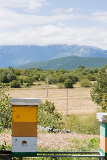 Honing boerderij landschap
