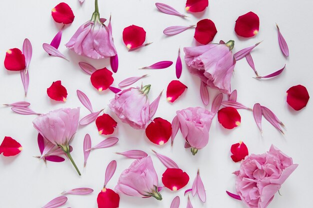 Hoofdbeeld van een prachtig bloemenarrangement