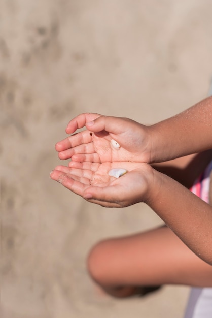 Gratis foto hoogste mening van handen die shells houden