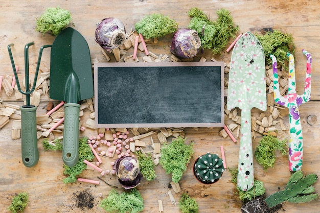 Hoogste mening van het tuinieren materiaal; turf; cactus plant; krijt; en lege leisteen op bruin houten tafel