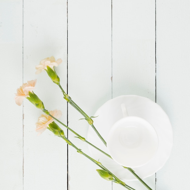 Hoogste meningsbloemen en kop op houten achtergrond