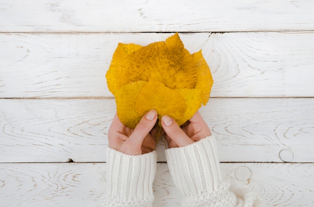 Hoogste meningshanden die de herfstbladeren houden