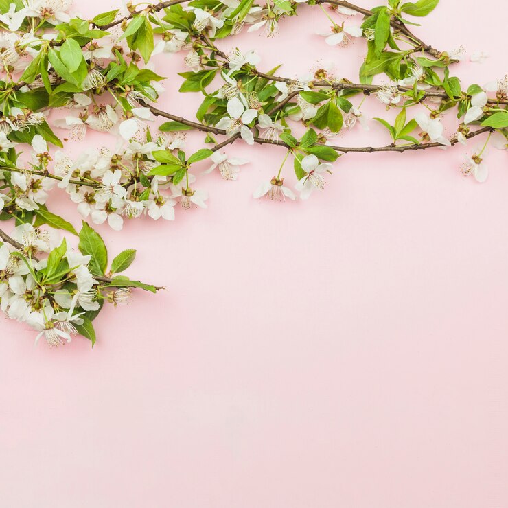 Gratis Foto hoogtebeeld van verse bloemen