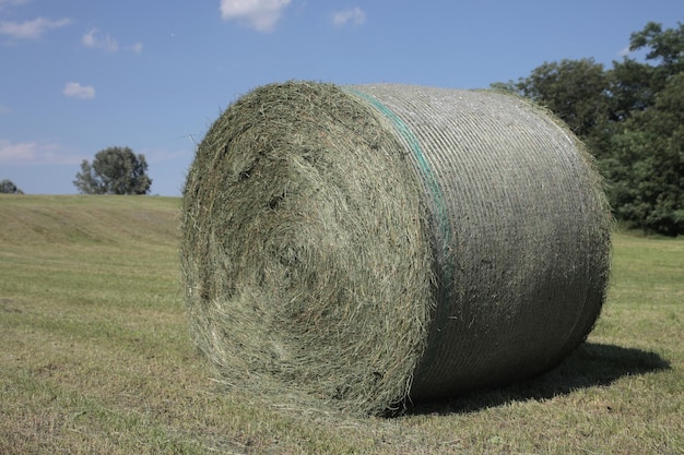 Gratis foto hooibaal op het platteland