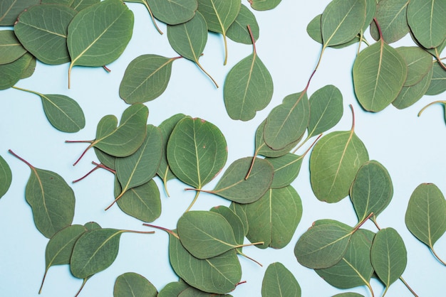 Hoop groene bladeren
