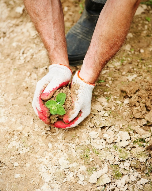 Gratis foto hoop op nieuw leven in de droogte