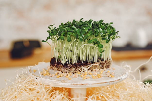 Hoop van bieten microgreens op lijst