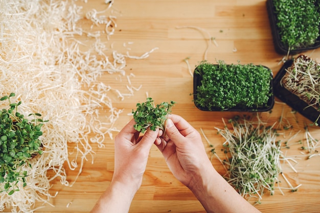 Hoop van bieten microgreens op lijst