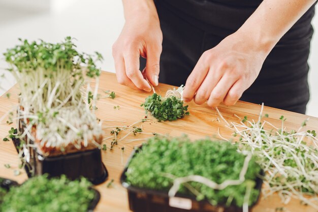 Hoop van bieten microgreens op lijst