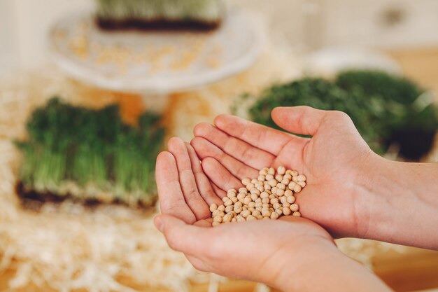 Hoop van bieten microgreens op lijst