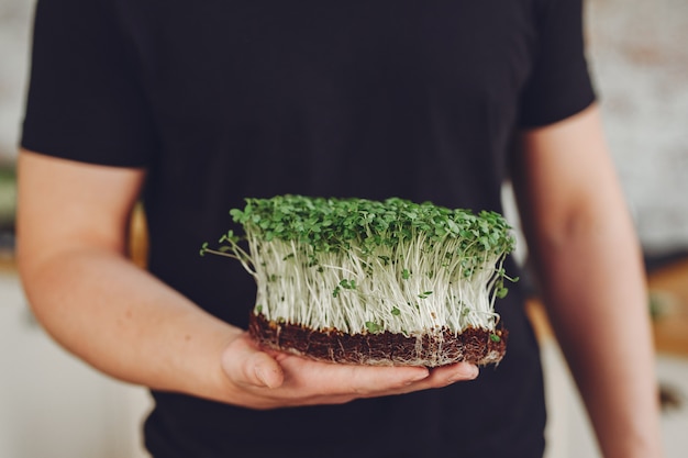 Hoop van bieten microgreens op lijst