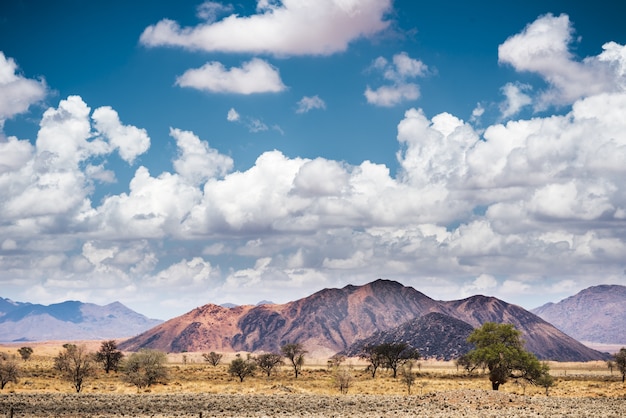 Horizontaal schot van landschap bij de Namib-woestijn in Namibië onder de blauwe hemel en witte wolken