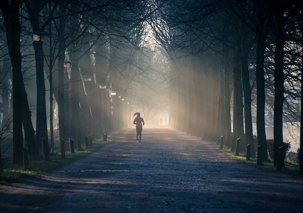 Horizontale opname van een pad in een boompark met een vrouw in een rood trainingspak op het pad