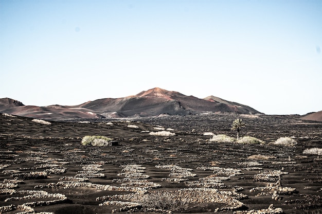 Horizontale opname van het prachtige landschap in Lanzarote, Spanje tijdens daglicht