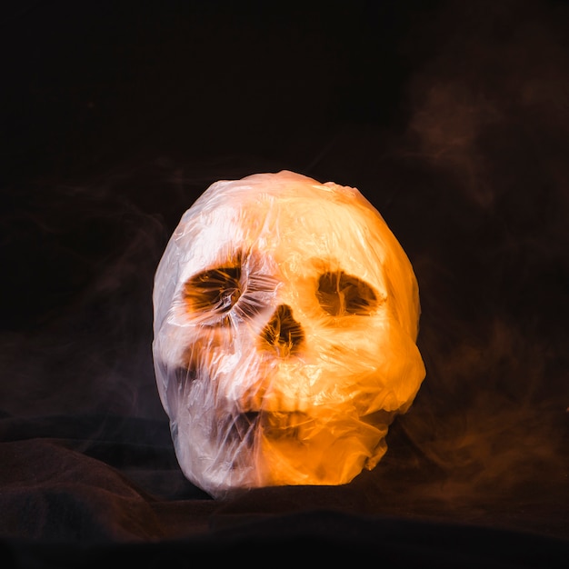 Horror concept met schedel in plastic zak
