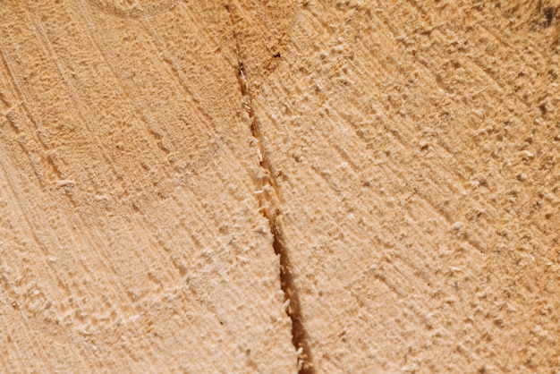 Hout close-up