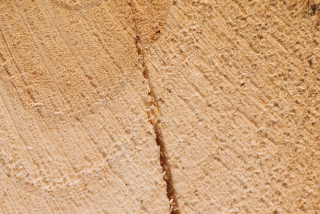 Hout close-up