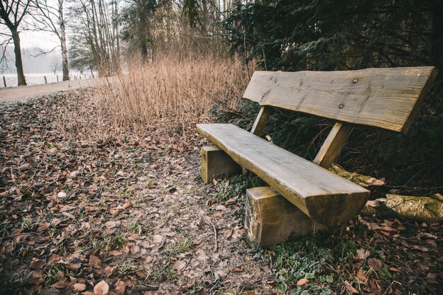 Houten bankje in een park omgeven door groen met een meer op de achtergrond tijdens de herfst