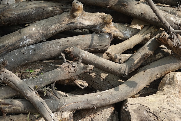 houten boomstammen