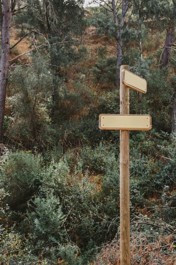 Gratis Foto houten bord in het bos