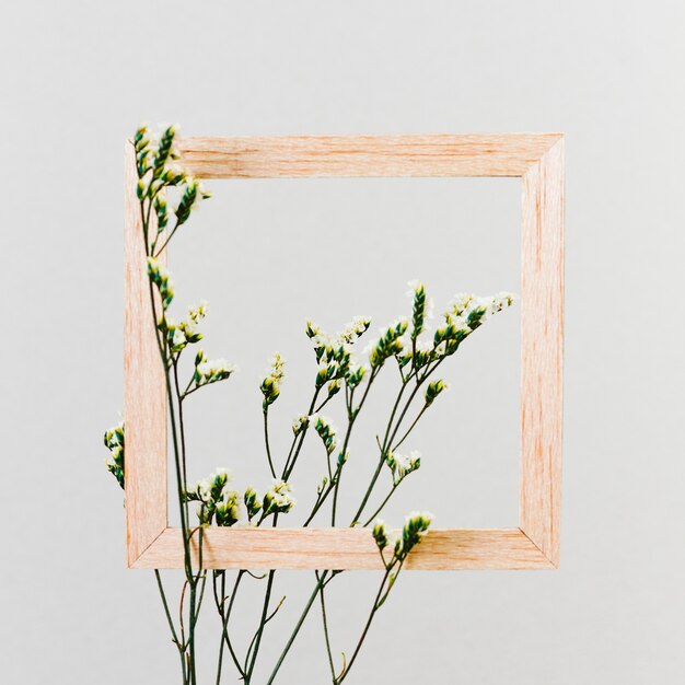 Houten frame met bloemtak