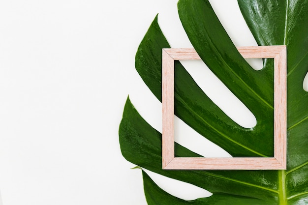 Houten frame met groen blad