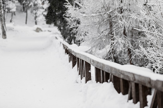 Houten hek in besneeuwde bossen