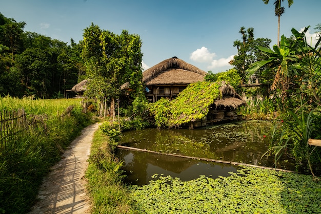 Houten hut in de buurt van een vuile meer in een boom bos