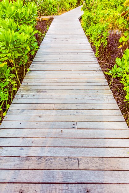 Houten pad om te wandelen