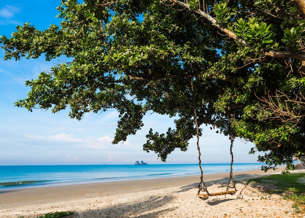 Houten schommel op een boom op een tropisch strand