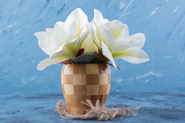 Gratis foto houten vaas met witte magnolia bloemen op blauw.