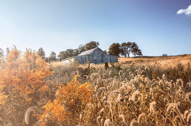 Huis op het platteland