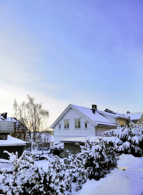 Gratis foto huizen omgeven door bomen bedekt met de sneeuw in larvik in noorwegen