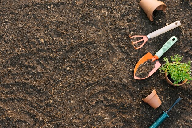 Hulpmiddelen en potten met planten op de bodem