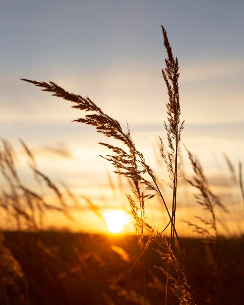 Inspirerend uitzicht op het ochtendlicht