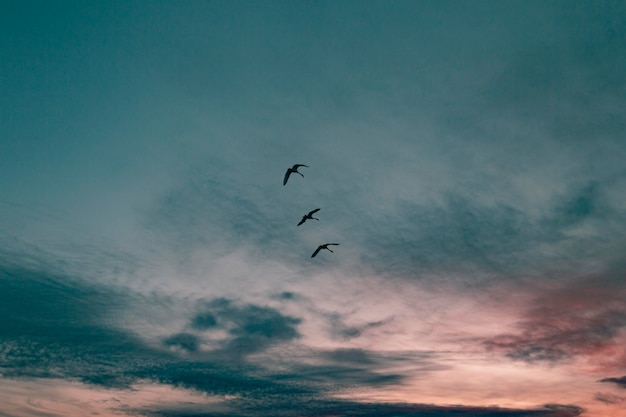 Inspirerende kijk op zonsopganglicht