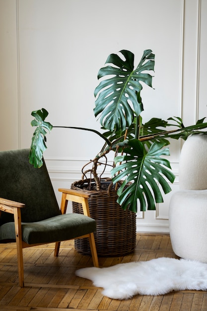 Gratis foto interieur met stoel en pot monstera plant