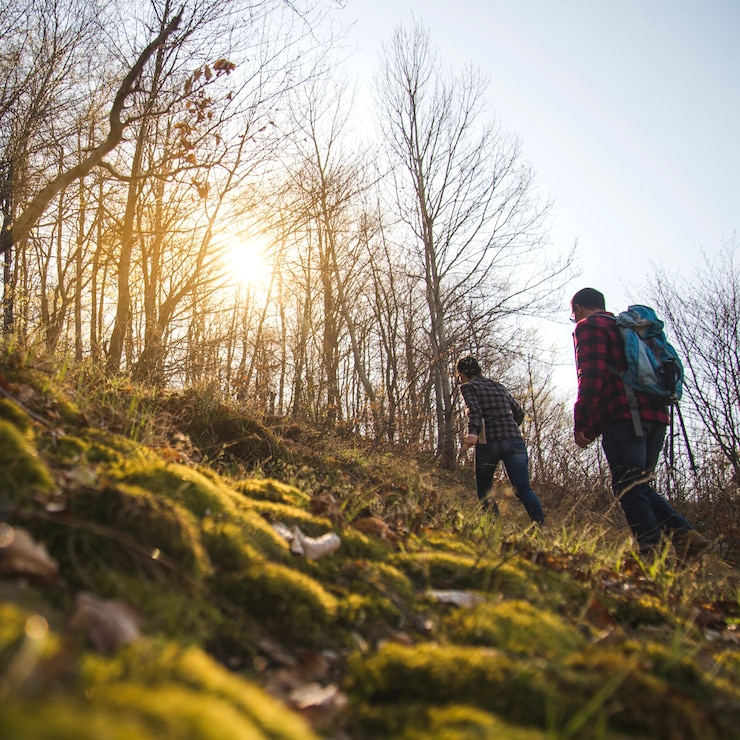 Gratis Foto jong koppel dat in het bos loopt