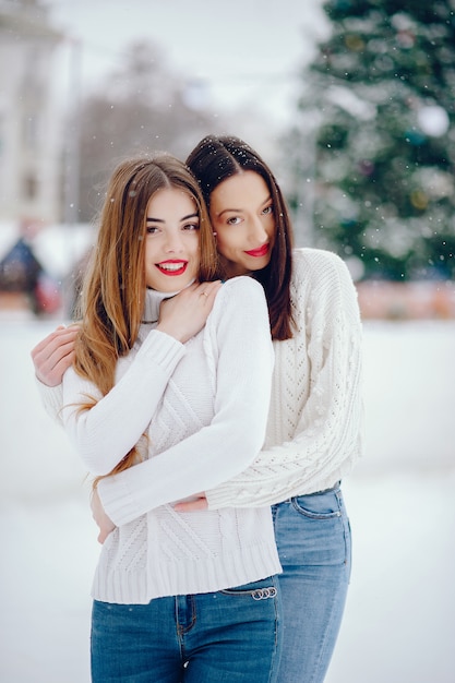 Jong meisje in een witte sweater die zich in een de winterpark bevindt